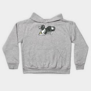 Border collie with tennis balls Kids Hoodie